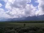 F- Grand Teton National Park (2).jpg (48kb)
